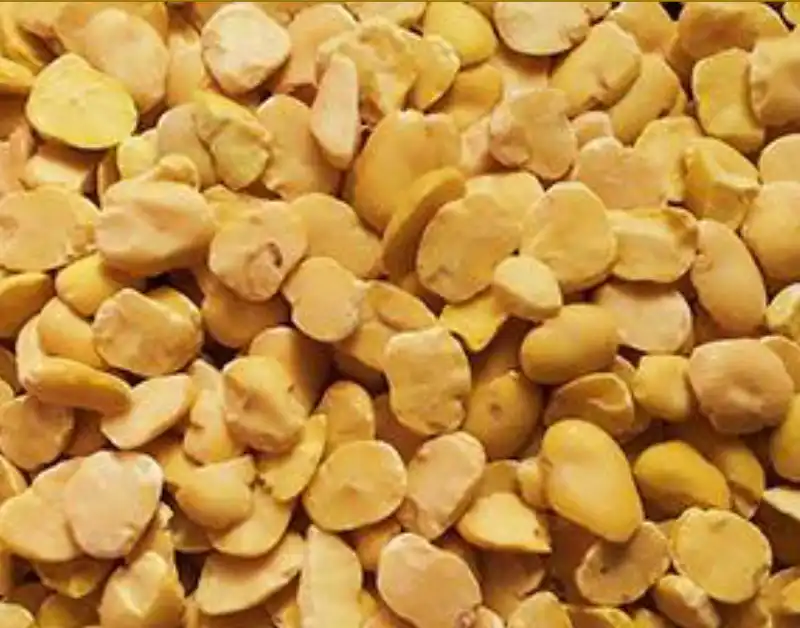 Split European Beans